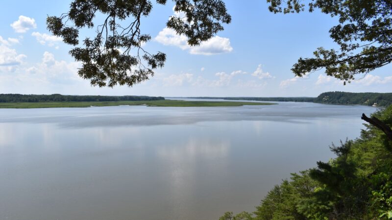 Наследие, найденное в земле: как археологи подтвердили забытые истории народа Раппаханнок