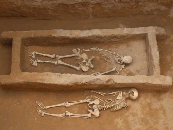 Древняя тайна Шимао: Почему мужчины стали жертвами у городских ворот