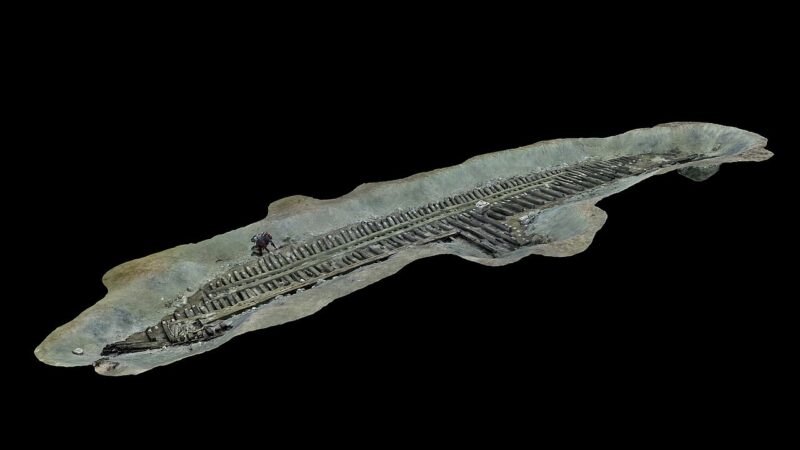 Обнаружена древняя «лайнер-дворец»: тайны затонувшей роскоши Птолемеев