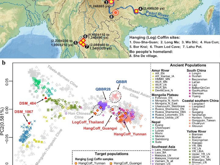 Разгадка тайны «висячих гробов»: генетики нашли потомков загадочного народа Бо
