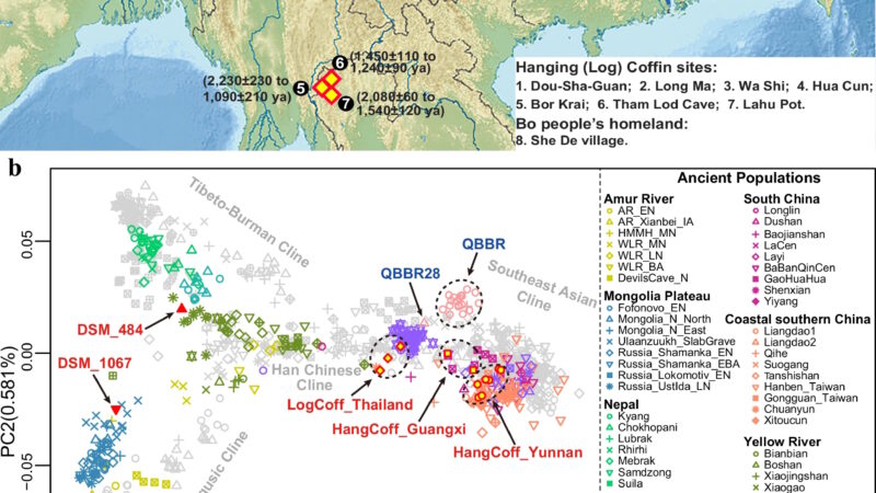 Разгадка тайны «висячих гробов»: генетики нашли потомков загадочного народа Бо