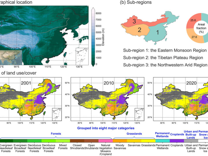 Обратная сторона «зелёного щита»: как масштабное озеленение Китая перераспределило водные ресурсы страны