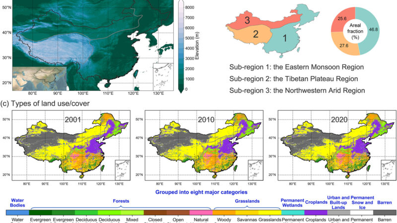 Обратная сторона «зелёного щита»: как масштабное озеленение Китая перераспределило водные ресурсы страны