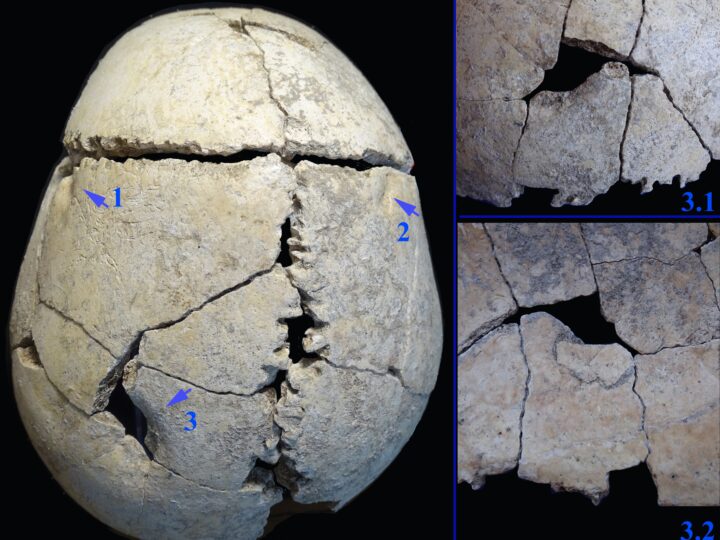 Первый известный случай: как подросток пережил нападение льва 6200 лет назад