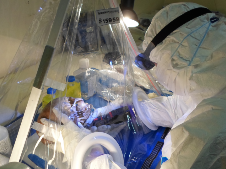 Генетический остров: как 100 000 лет изоляции создали уникальных людей на юге Африки