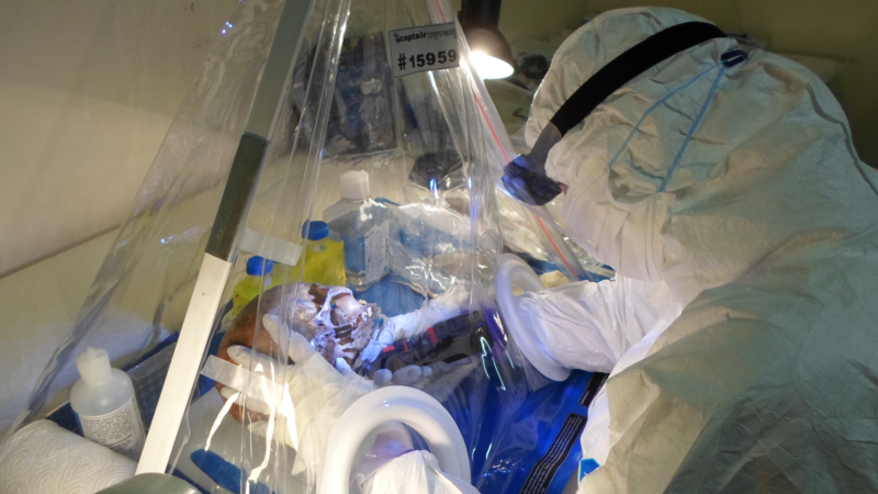 Генетический остров: как 100 000 лет изоляции создали уникальных людей на юге Африки