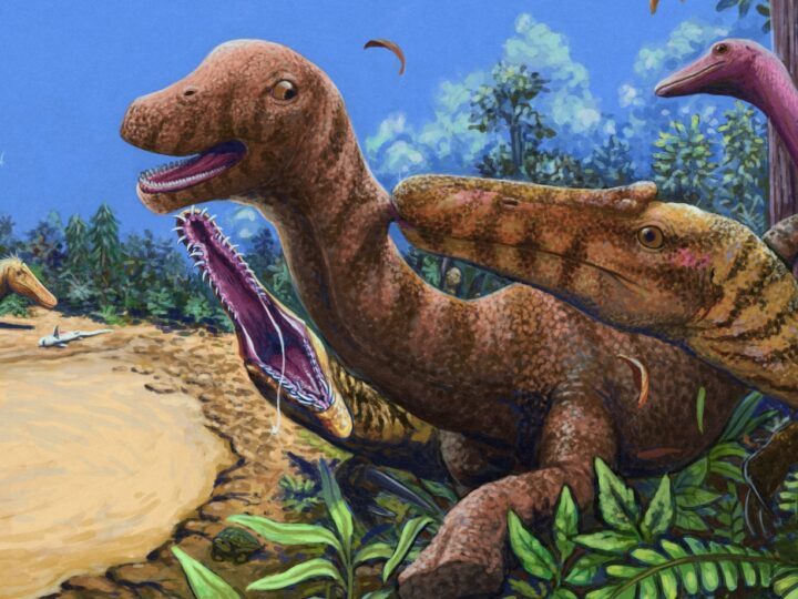 Речной охотник мелового периода: в Таиланде найден один из самых полных азиатских спинозавридов