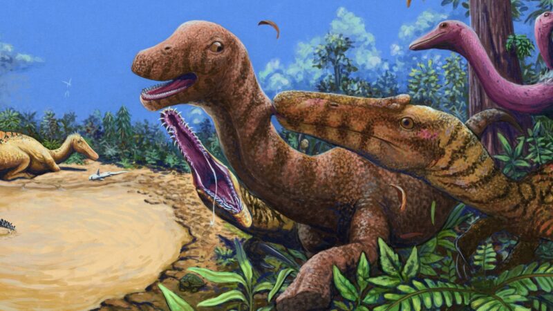 Речной охотник мелового периода: в Таиланде найден один из самых полных азиатских спинозавридов