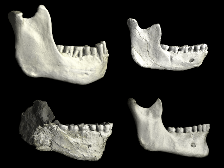 Космические беглецы, древние предки и волчья луна: главные научные открытия недели