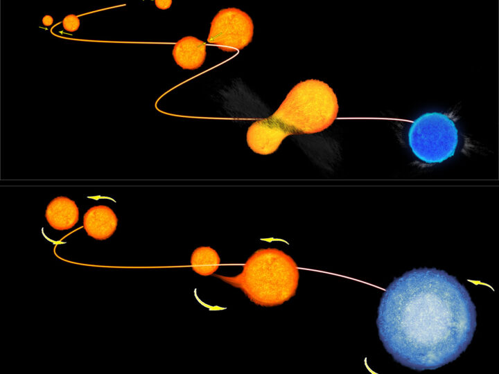 Звёзды-«вампиры»: секрет вечной молодости в космосе раскрыт