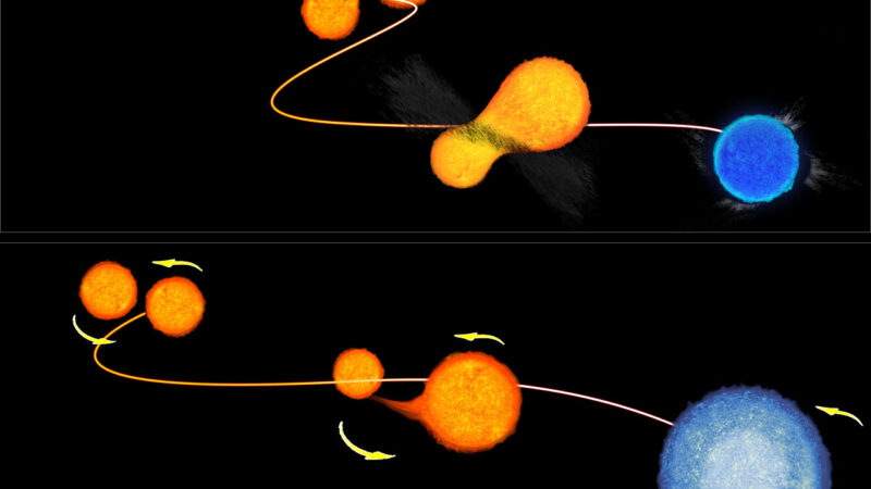 Звёзды-«вампиры»: секрет вечной молодости в космосе раскрыт