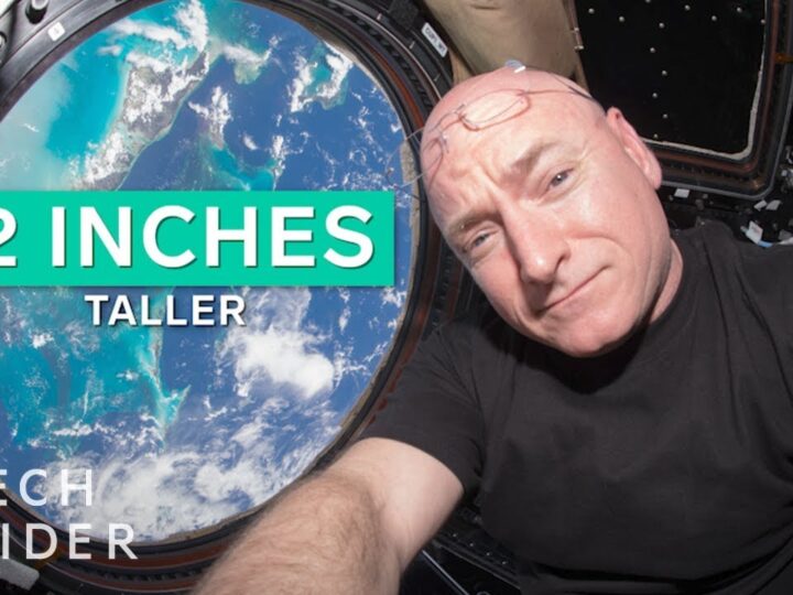 Космическая деформация: как долгие полеты заставляют мозг «парить» и смещаться внутри черепа