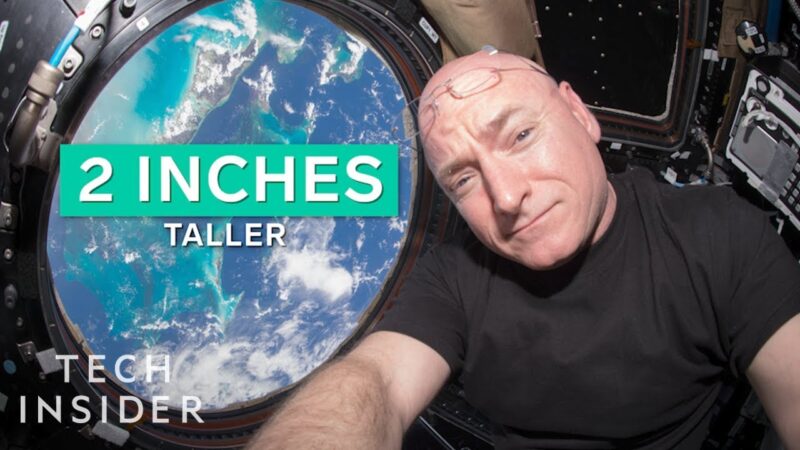 Космическая деформация: как долгие полеты заставляют мозг «парить» и смещаться внутри черепа