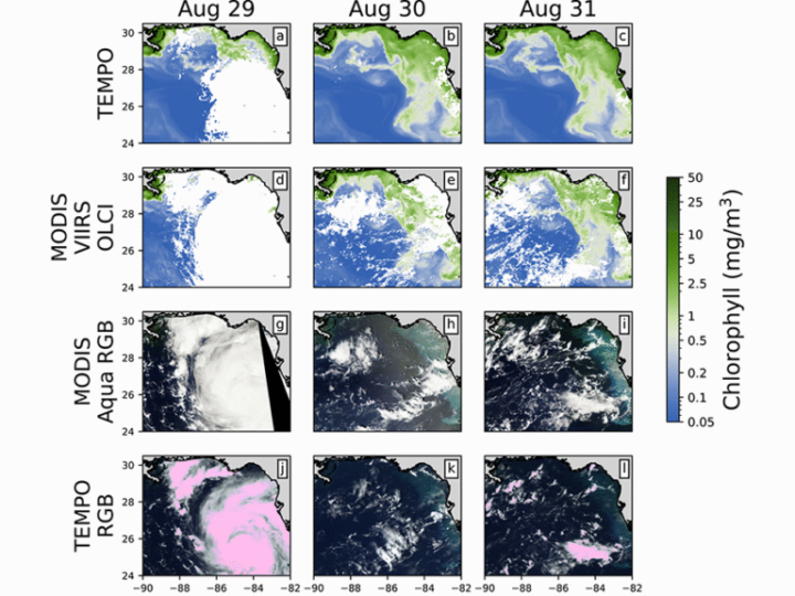 Океан под прицелом геостационара: новый метод позволяет следить за цветом воды ежечасно