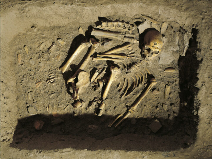 Тайна исчезновения неандертальцев: почему «мы» не стали причиной их гибели