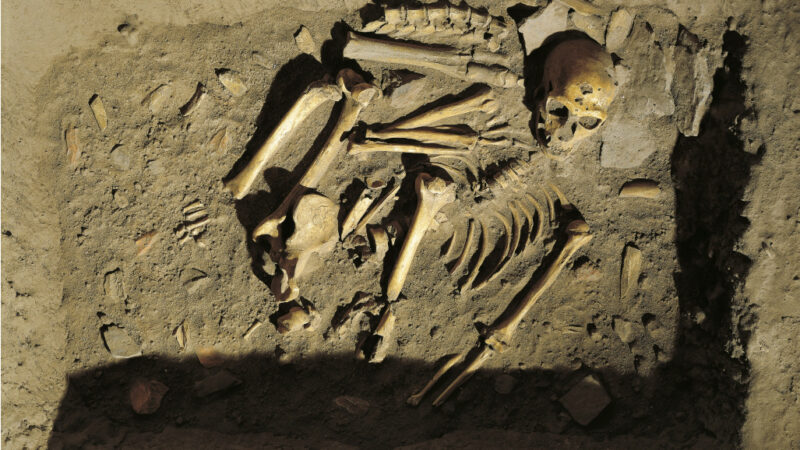 Тайна исчезновения неандертальцев: почему «мы» не стали причиной их гибели