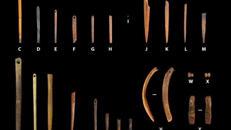 Древнейшая в мире одежда: ледниковый период и секреты первых портных