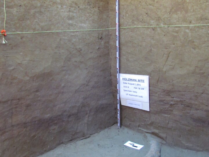 Древние артефакты на Аляске могут пролить свет на заселение Америки