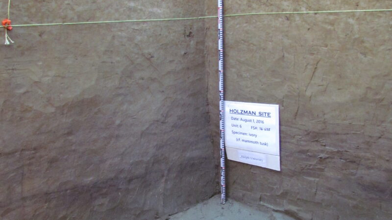 Древние артефакты на Аляске могут пролить свет на заселение Америки