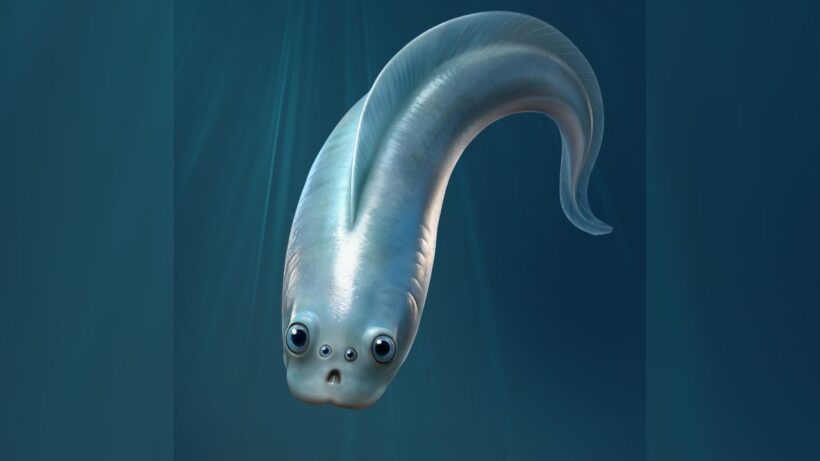 Четырехглазые пращуры: древнейшие позвоночные оказались зоркими охотниками за выживание