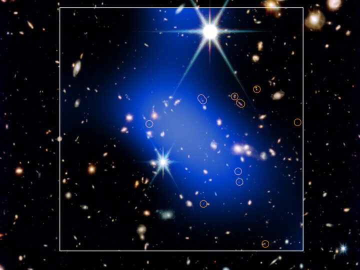 Слишком быстрый гигант: «Джеймс Уэбб» и «Чандра» нашли протоскопление галактик, которое не должно было существовать на заре Вселенной