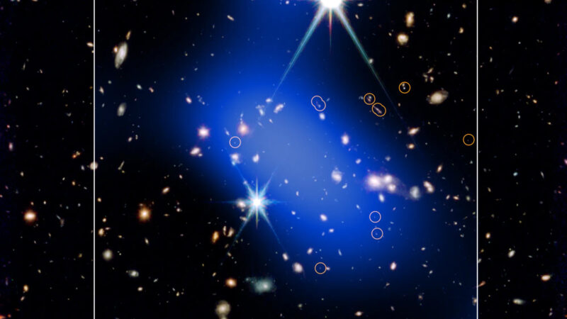 Слишком быстрый гигант: «Джеймс Уэбб» и «Чандра» нашли протоскопление галактик, которое не должно было существовать на заре Вселенной