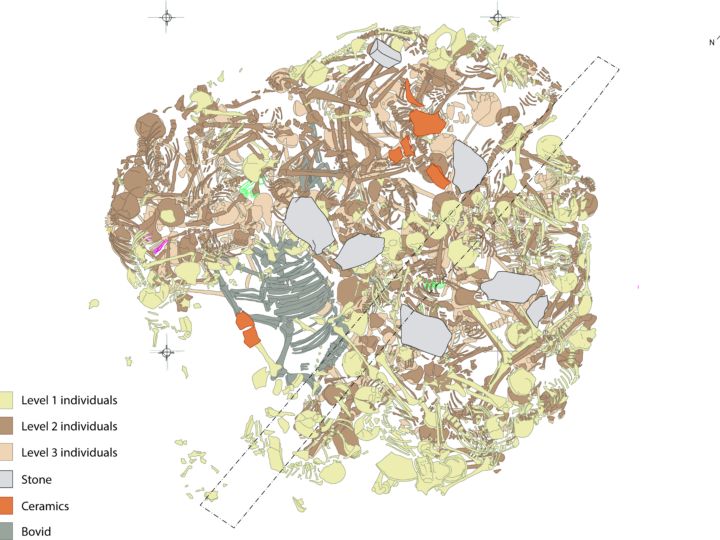 Жестокое наследие железного века: массовое захоронение женщин и детей в Сербии раскрывает тайны древнего насилия