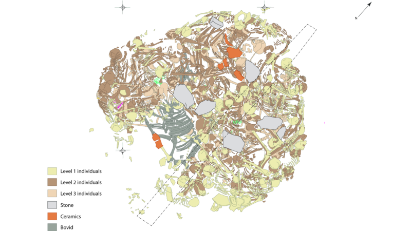 Жестокое наследие железного века: массовое захоронение женщин и детей в Сербии раскрывает тайны древнего насилия
