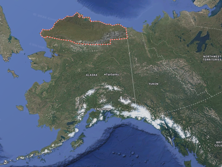 3000 лет тишины: на Аляске зафиксирован беспрецедентный рост тундровых пожаров