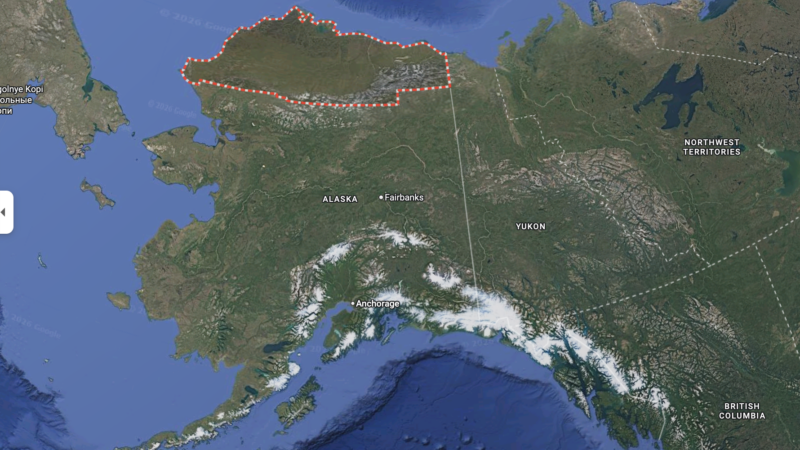 3000 лет тишины: на Аляске зафиксирован беспрецедентный рост тундровых пожаров