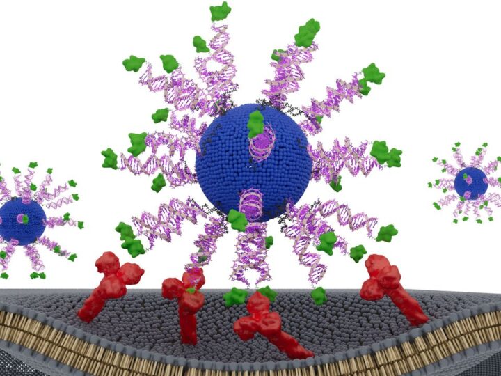 Прививка от рака: умная нановакцина прошла первые испытания на мышах и тканях человека