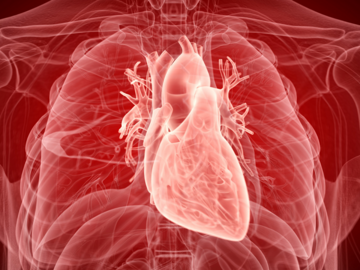 Кость в сердце: уникальная находка в человеческом организме
