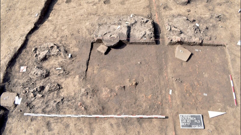 Тайна оленьего убора: как охотники каменного века делились знаниями с первыми фермерами Европы