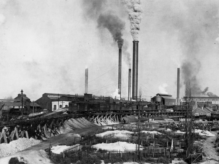 Волосы как история отравления: как запрет свинца спас здоровье целого поколения