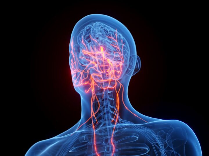 Недосып бьет по кишечнику: ученые нашли связь между бессонницей и воспалением через блуждающий нерв