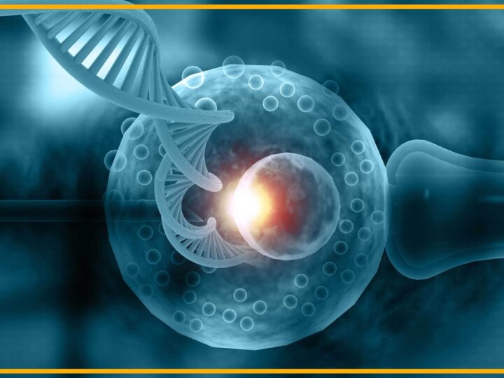 Реальность «Гаттаки»: пророчество, которое мы покупаем по цене ЭКО