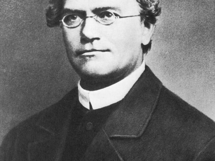 Забытый горох: Как монах из Брно открыл законы наследственности