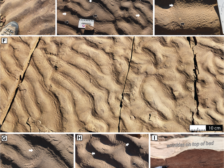 Глубоководные колыбели жизни: древние микробы, найденные там, где их не ждали