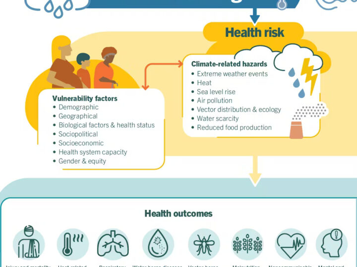 Опасная слепота: почему отрицание климата угрожает здоровью каждого американца