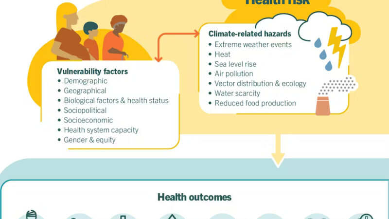 Опасная слепота: почему отрицание климата угрожает здоровью каждого американца