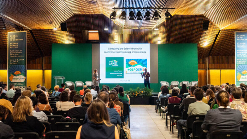 Чужие среди своих: как ученым-междисциплинарщикам выжить в мире «чистых» дисциплин