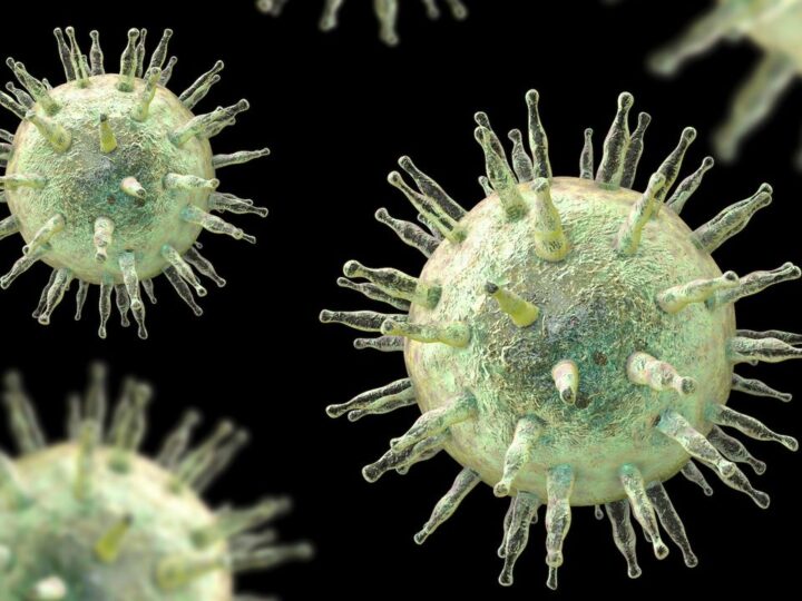 Генетическая предрасположенность: учёные нашли 22 гена, связывающих вирус Эпштейна-Барр с хроническими болезнями