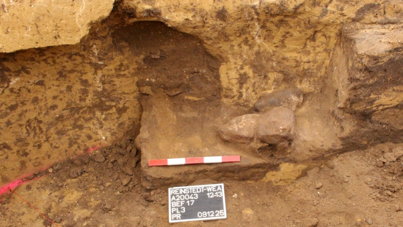 Средневековый тайник в неолитической гробнице: археологи нашли загадочный «земляной тоннель» в Германии