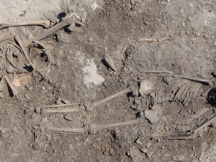 Тайны каменного века: ДНК раскрыла неожиданные семейные узы последних охотников-собирателей Швеции