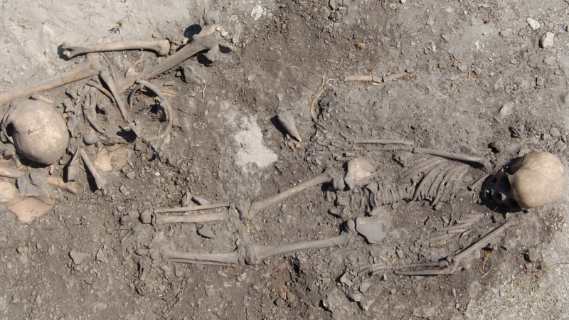 Тайны каменного века: ДНК раскрыла неожиданные семейные узы последних охотников-собирателей Швеции