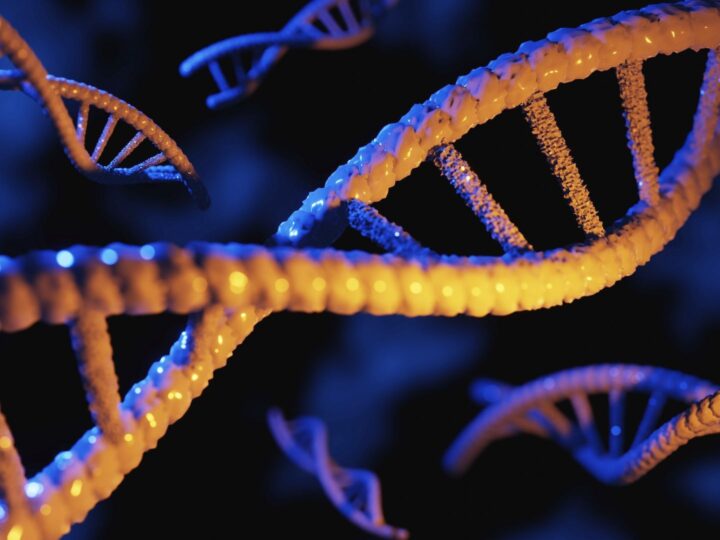 Генетическая революция: между надеждой и мифами. Интервью с авторами книги «Что мы наследуем»