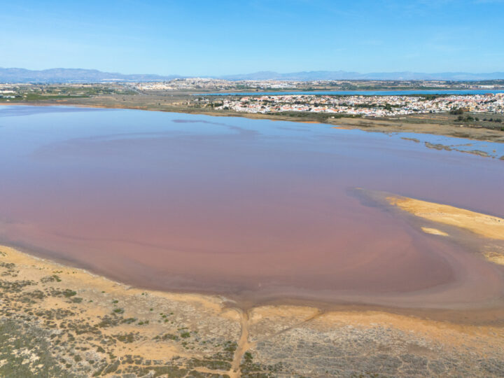 Сердце из соли: космонавт запечатлел уникальное розовое озеро в Аргентине