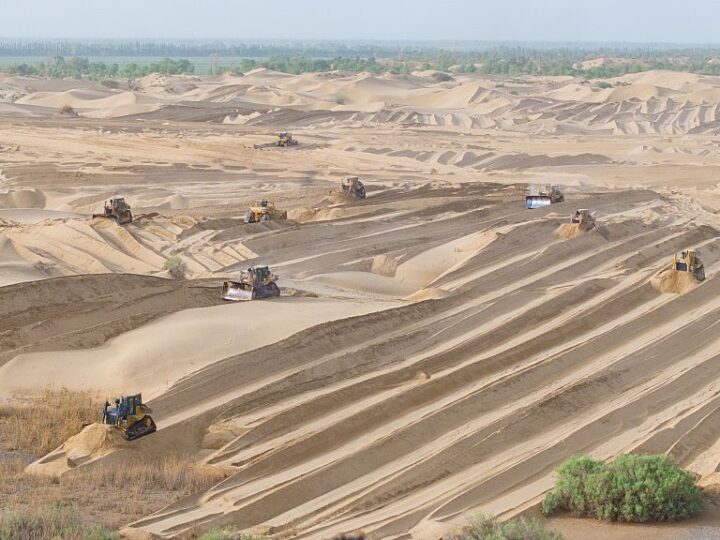 Как Китай превращает пустыню в «зеленое легкое»: массовая высадка деревьев остановила наступление песков