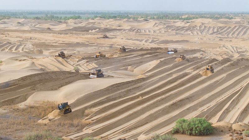 Как Китай превращает пустыню в «зеленое легкое»: массовая высадка деревьев остановила наступление песков