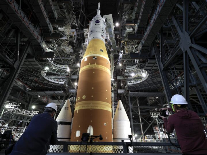 Неделя чудес: от рек, текущих вверх, до обезьяньего воображения